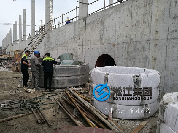 上海市竹园污水处理厂安装使用现场